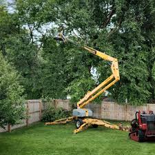 Best Emergency Tree Removal  in Eagle River, WI