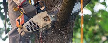 Best Soil Testing and Treatment  in Eagle River, WI