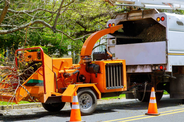 Best Tree Mulching  in Eagle River, WI