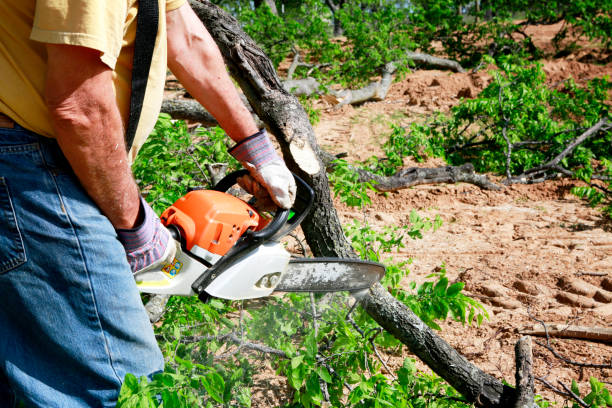 Lawn Grading and Leveling in Eagle River, WI